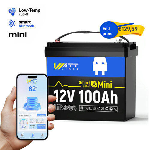 12v 100ah lifepo4 mini - 12v,