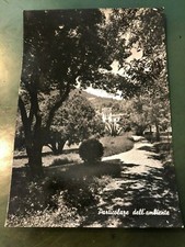 Rara cartolina 1956-BARBARANO