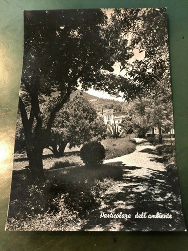 Rara cartolina 1956 barbarano - cartolina, 1956-barbarano