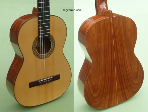 Chitarra concerto spagnola - chitarra,
