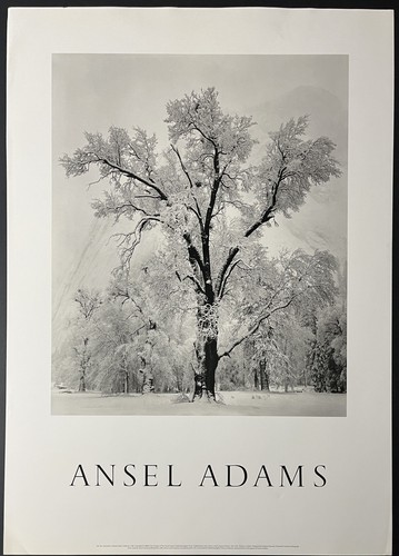 Ansel adams poster - ansel,