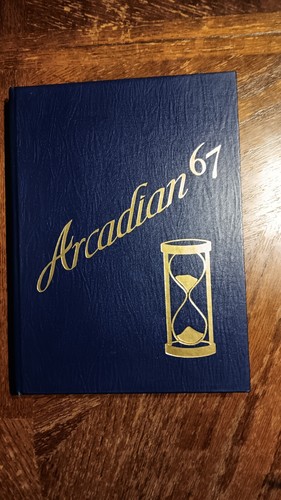 1967 arcadian suny - 1967,