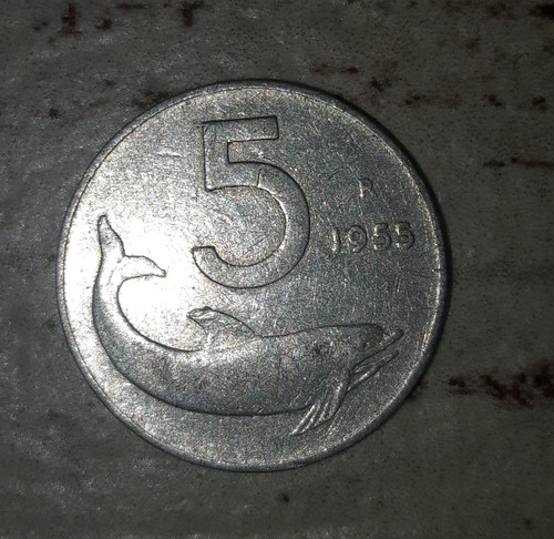 Moneta lire 1955 delfino - moneta,