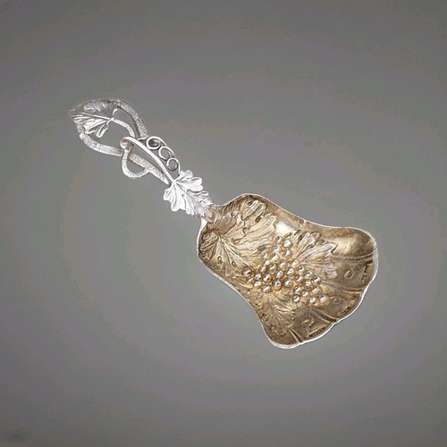 Cucchiaio caddy argento