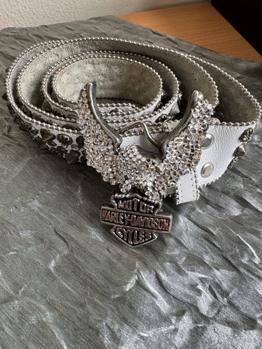 Harley davidson spikes - harley,