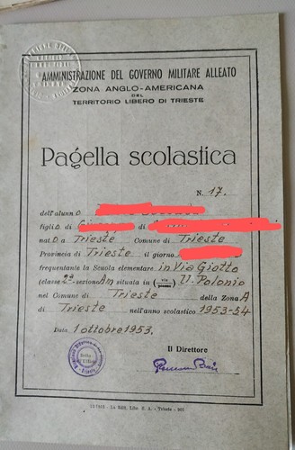 Pagella 1953 territorio libero - 1953,