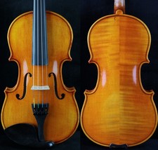 Incredibile violino fatto - , a