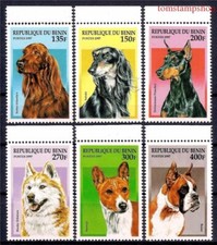 Benin 1997 Cani Setter Irlandese Saluki Doberman Siberian Husky Basenji Boxer 6v MNH