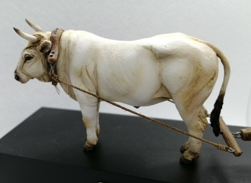 Cixmodels bue in - bue, (cow)
