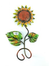 Girasole appendino - girasole,