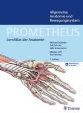 Prometheus allgemeine anatomie - prometheus,