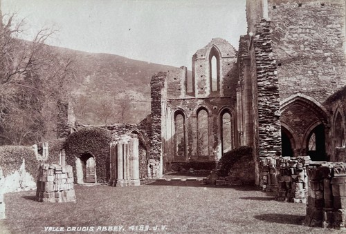Vintage albumen print - , of