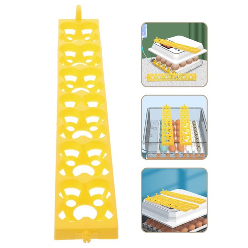 Incubatrice uova gallina - ,