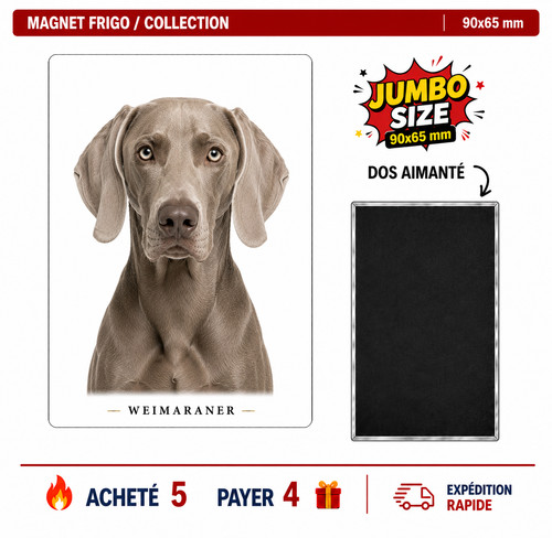 Magnet weimaraner 90x65 mm - weimaraner,