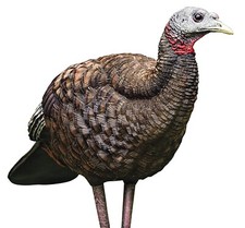 Avian X AVXAVX8008 LCD