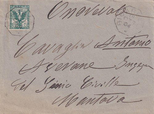 C17465 regno bigarello ann - c17465-regno,,