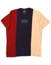 HOLLISTER T-shirt uomo grafica