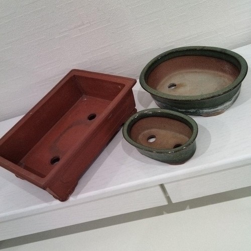Antico vaso bonsai - , set