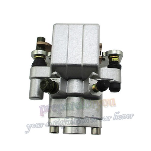 Pinza freno posteriore con