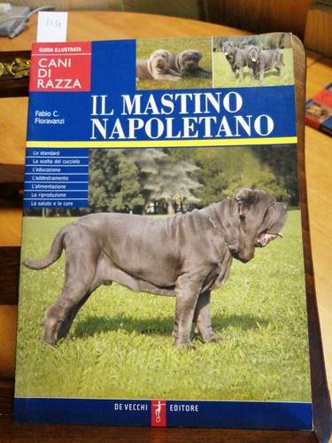 Mastino napoletano - il,