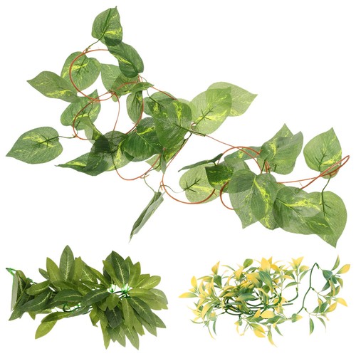 Pezzi piante di rettili - piante,