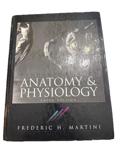 Fundamentals anatomy - fundamentals, of