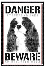 CAVALIER KING TARGA CARTELLO