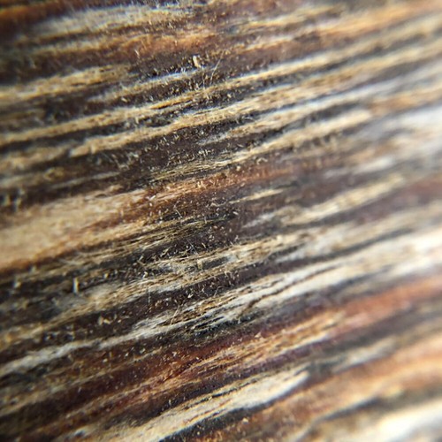 Aroma incenso con patatine - aroma,