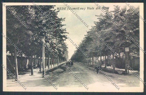 Pavia mede cartolina lq5247 - mede,