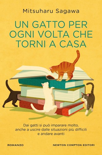 Gatto per ogni volta che - ogni, torni