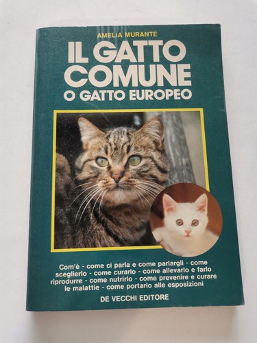 Amelia murante gatto - "il,