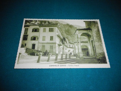 Cartolina campiglia cervo - di,