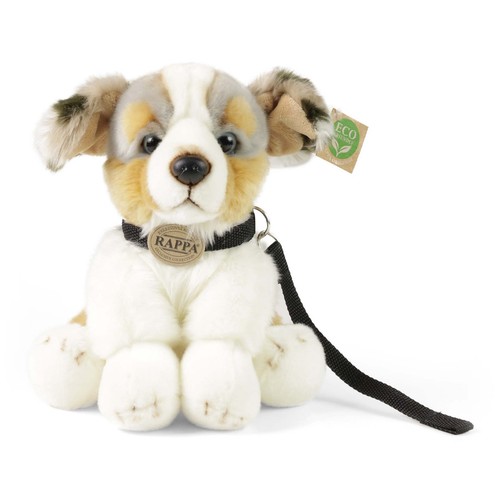 Australian shepherd cm - 22,