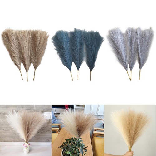 Pezzi pampas dried fiori - 3,