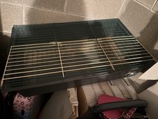 gabbia coniglio nano