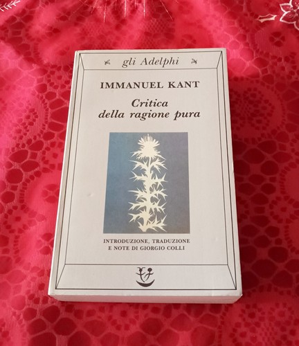 Critica della ragione pura - critica,