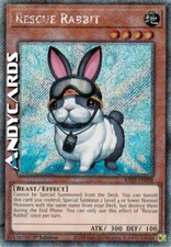 RESCUE RABBIT (Coniglio Da