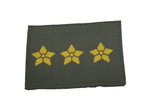 Gradi pettorali esercito - gradi,