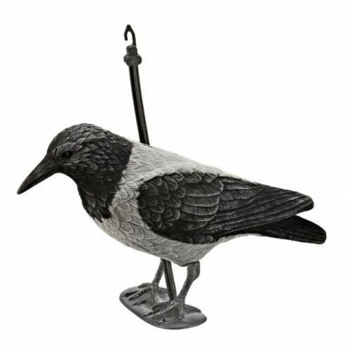 Stampo cornacchia plastica - cornacchia,