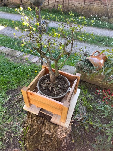 Vaso piedistallo legno - di,