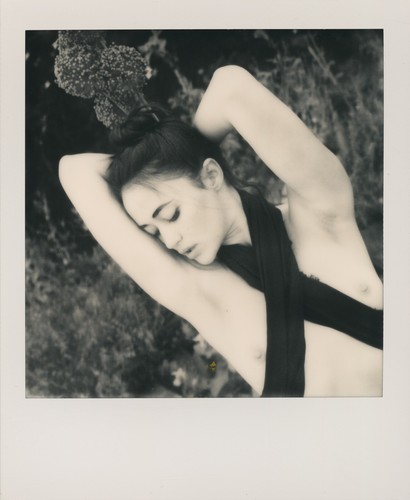 Quadro polaroid nudo originale - polaroid,