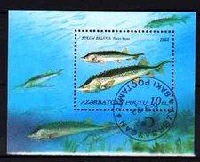 Pesci Azerbaijani (31) Blocco