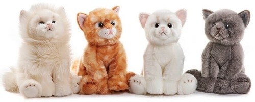 Paws peluche gatto seduto - gatto,