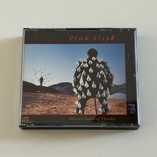 Pink floyd delicate sound - –,