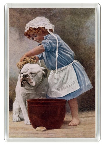 Bulldog dog fridge magnet - dog,