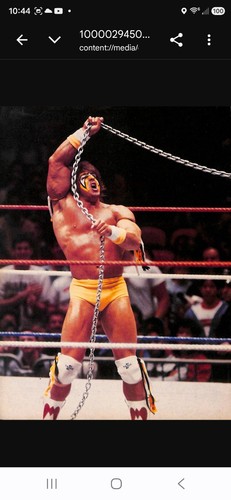 Wrestling legend ultimate - legend,
