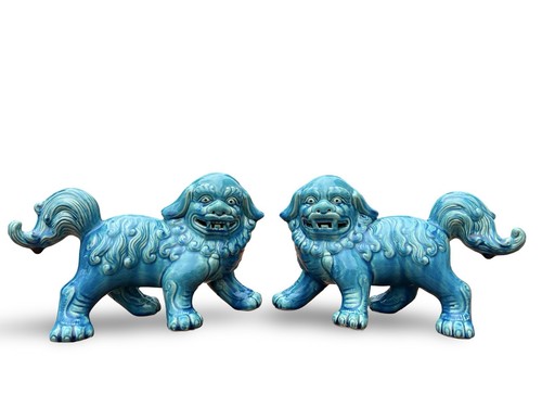 Coppia cani foo turchesi - coppia, di