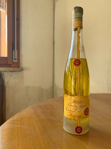 Bottiglia liquore collezione - bottiglia,