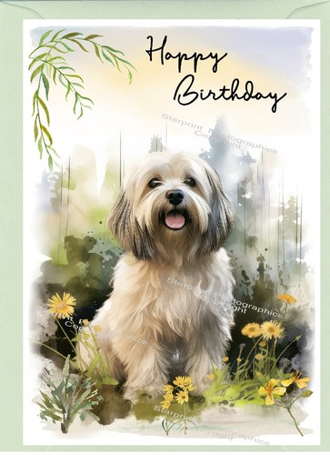 Biglietto compleanno lhasa - biglietto,