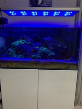 Acquario Marino completo 200